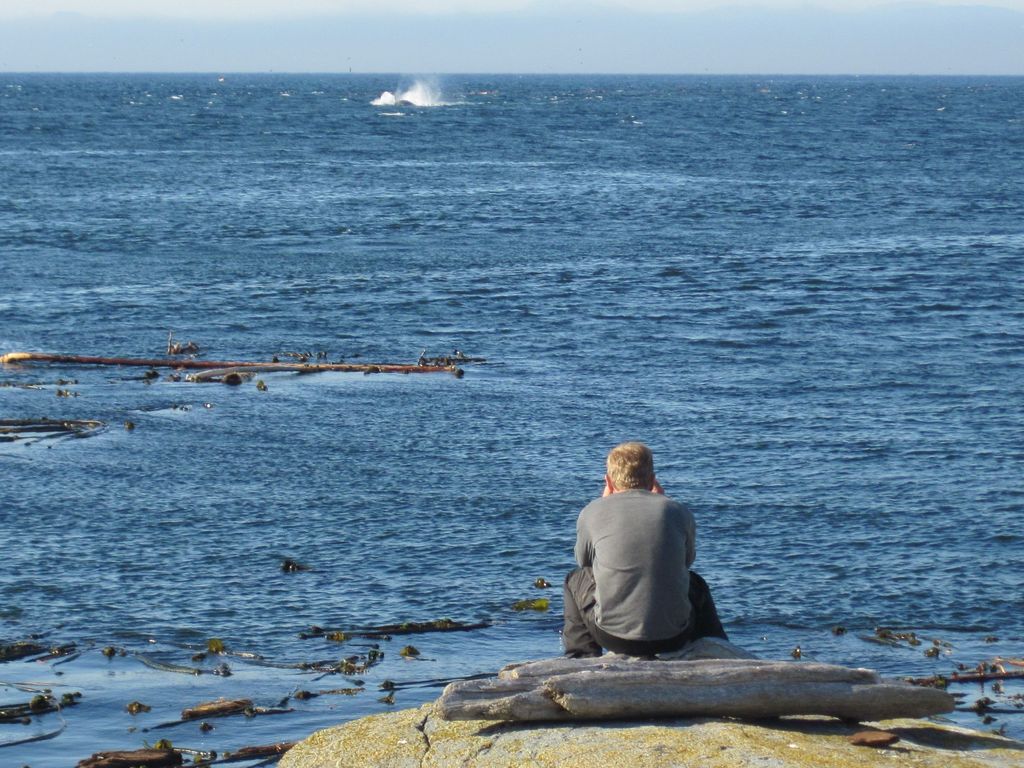 Paddler beobachtet Wale vor Vancouver Islandvom Zeltplatz aus