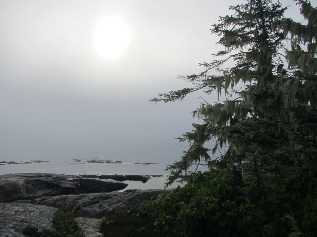 Inseln in Nebelstimmung vor Vancouver Island